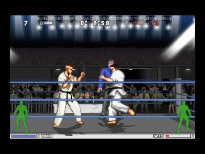 Karate Master Knock Down Blow screenshot