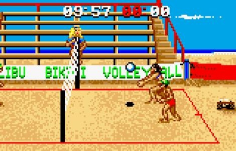 Malibu Bikini Volleyball screenshot