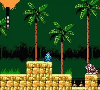 Mega Man 5 screenshot