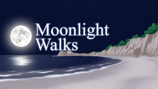 Moonlight Walks