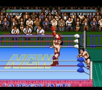 Natsume Championship Wrestling screenshot