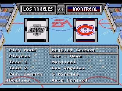 NHL Hockey 94 screenshot