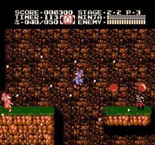 Ninja Gaiden II: The Dark Sword of Chaos screenshot