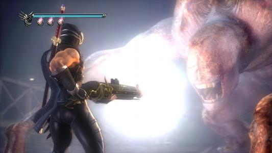 Ninja Gaiden Sigma 2 screenshot