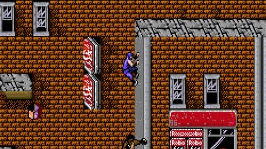 Ninja Gaiden Trilogy screenshot