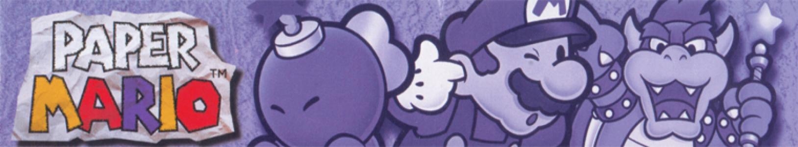 Paper Mario banner