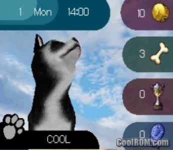 Paws & Claws: Dogs & Cats Best Friends screenshot