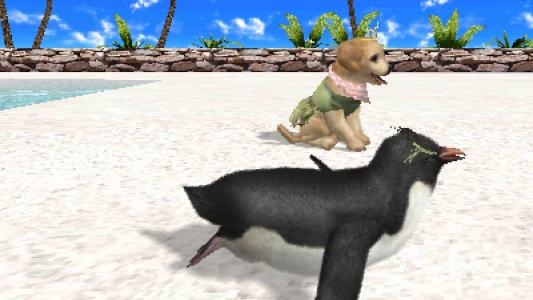 Petz Beach screenshot