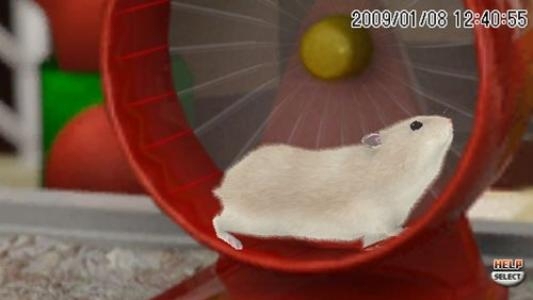 Petz: Hamsterz Bunch screenshot