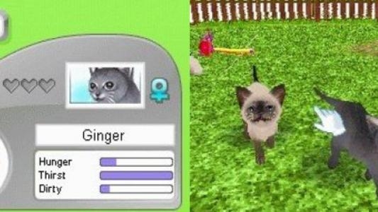 Petz: My Kitten Family screenshot