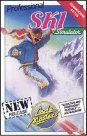 Professional Ski Simulator