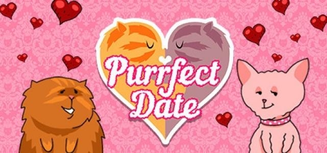 Purrfect Date