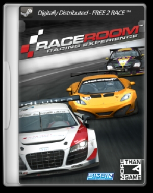 Raceroom racing experience