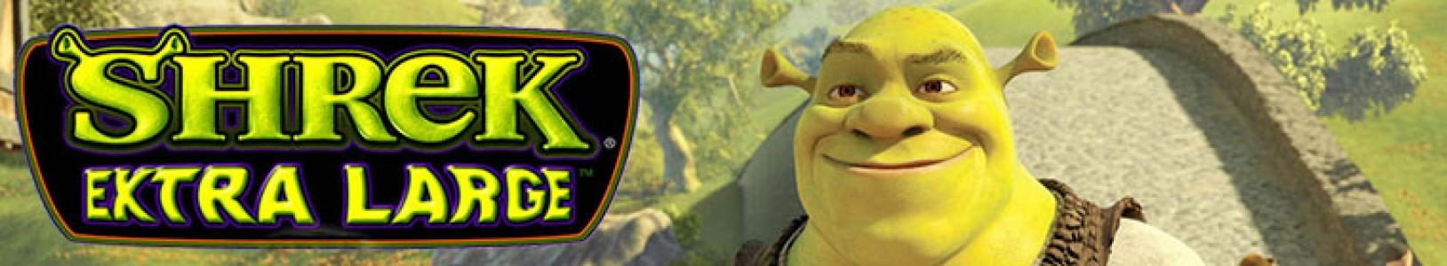 Shrek Extra Large banner