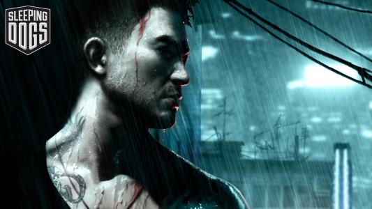 Sleeping Dogs: Definitive Edition fanart