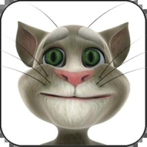 Talking Tom Cat