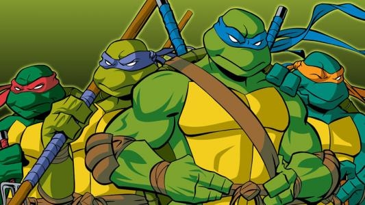 Teenage Mutant Ninja Turtles: Arcade Attack fanart