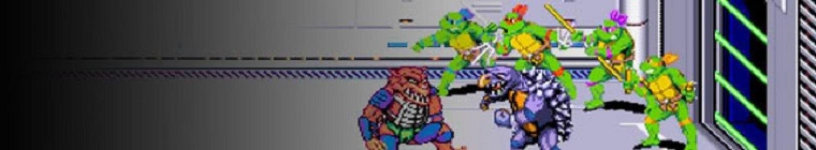 Teenage Mutant Ninja Turtles IV: Turtles In Time banner