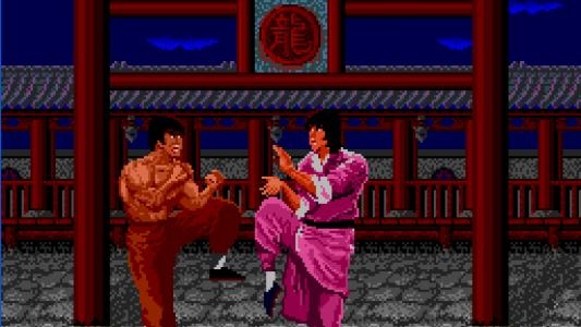 THE KUNG FU screenshot