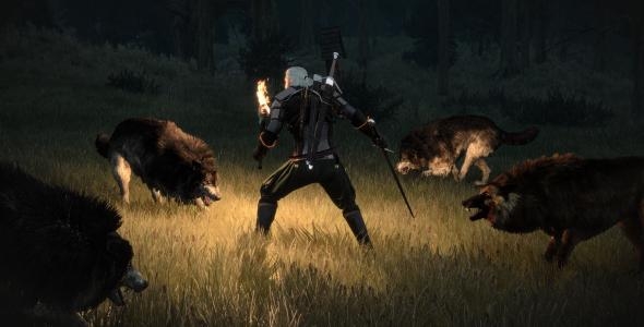 The Witcher 3: Wild Hunt Collector's Edition screenshot