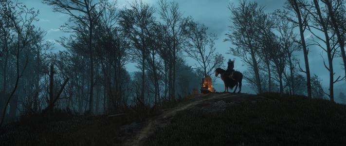 The Witcher 3: Wild Hunt Collector's Edition screenshot