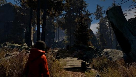 Through the Woods screenshot