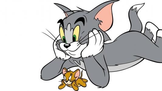 Tom and Jerry in Fists of Furry fanart