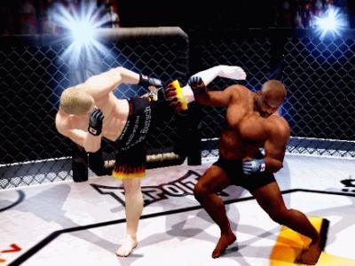 Ultimate Fighting Championship: Tapout screenshot