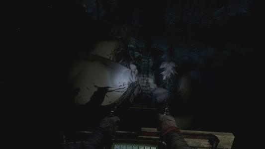 Until Dawn: Rush of Blood screenshot