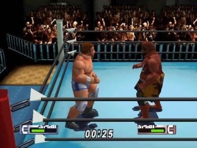 Virtual Pro Wrestling 2: Oudou Keishou screenshot