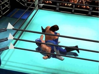 Virtual Pro Wrestling 2: Oudou Keishou screenshot