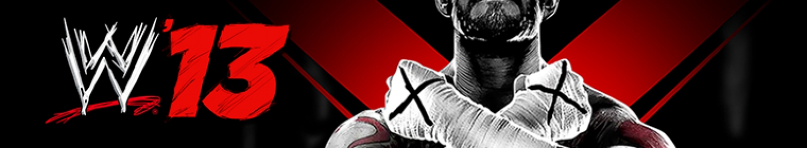 WWE '13 banner